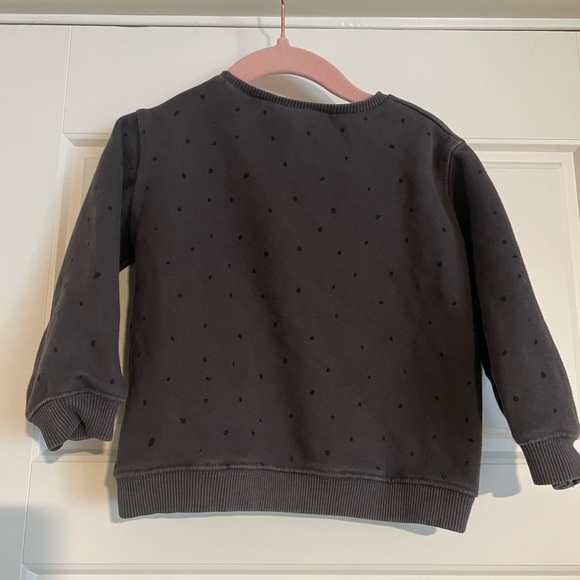 $15 ADD ON Zara Sweatshirt‎ Dress Toddler Kids Just Shine Sweatshirt 3-4Y 3t 4T - Picture 4 of 4